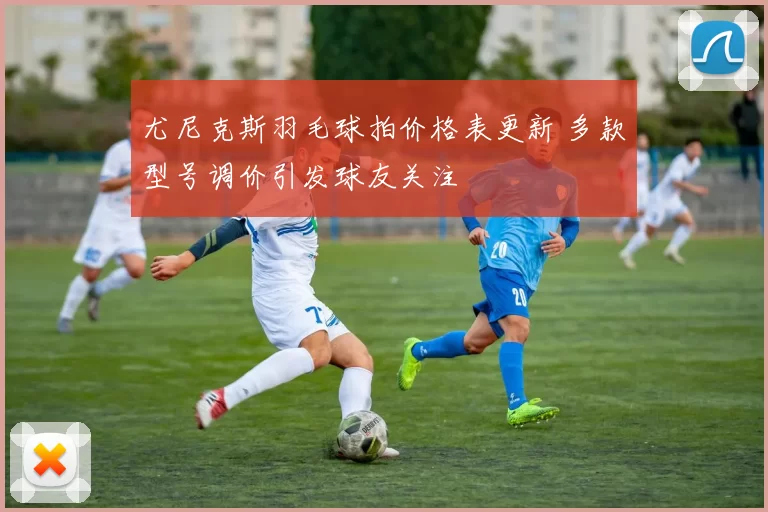 尤尼克斯羽毛球拍价格表更新 多款型号调价引发球友关注