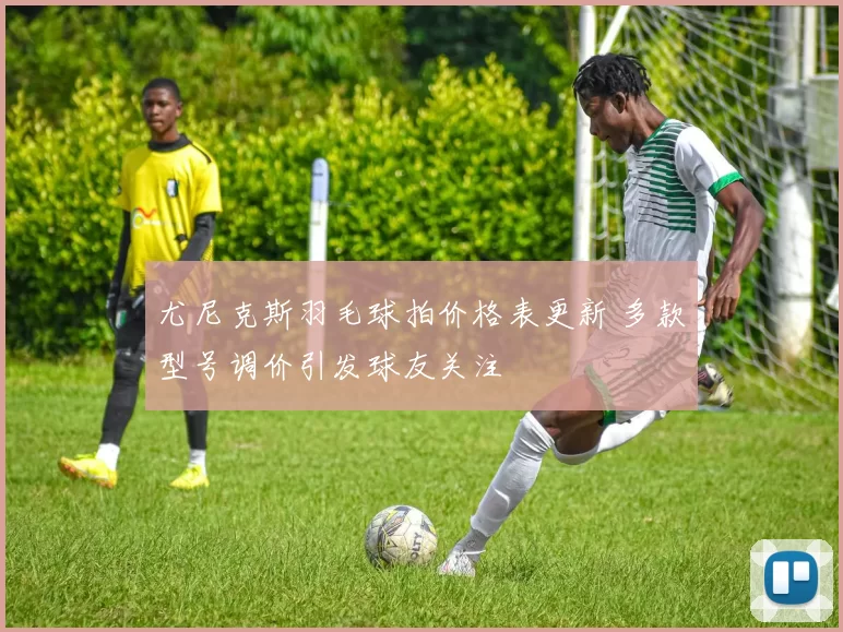 尤尼克斯羽毛球拍价格表更新 多款型号调价引发球友关注