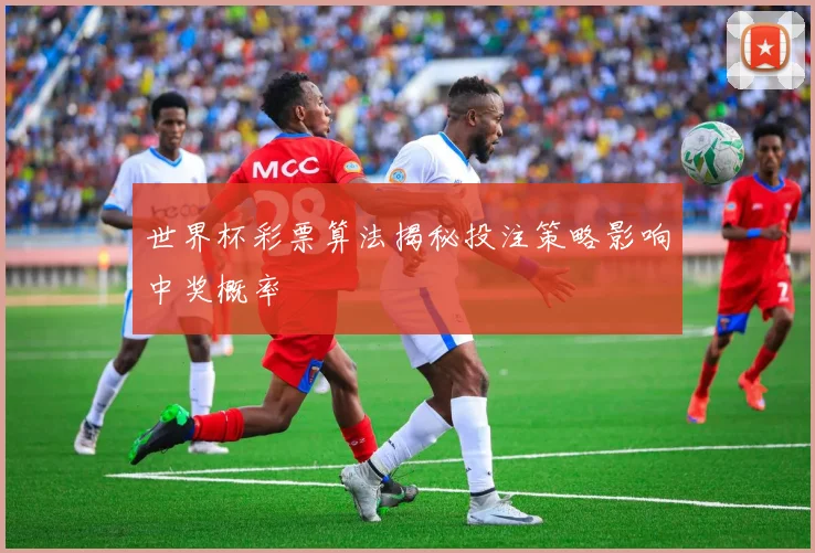 世界杯彩票算法揭秘投注策略影响中奖概率