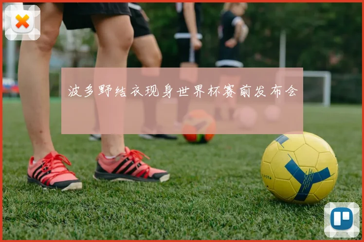 波多野结衣现身世界杯赛前发布会