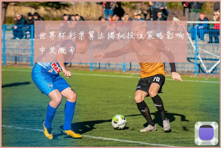 世界杯彩票算法揭秘投注策略影响中奖概率