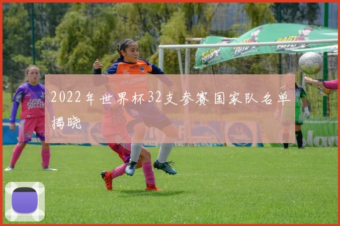 2022年世界杯32支参赛国家队名单揭晓