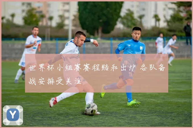 世界杯小组赛赛程赔和出炉 各队备战安排受关注